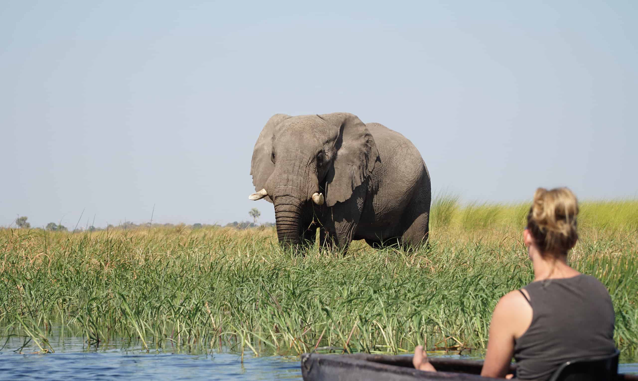 10 best national parks in Africa for Big five safaris and photography safari